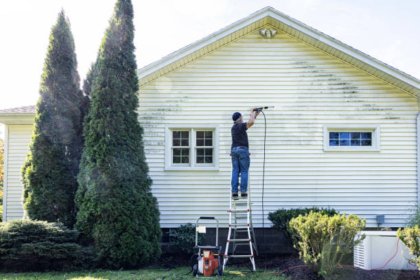 Animal Enclosure Cleaning in Westwood Shores, TX